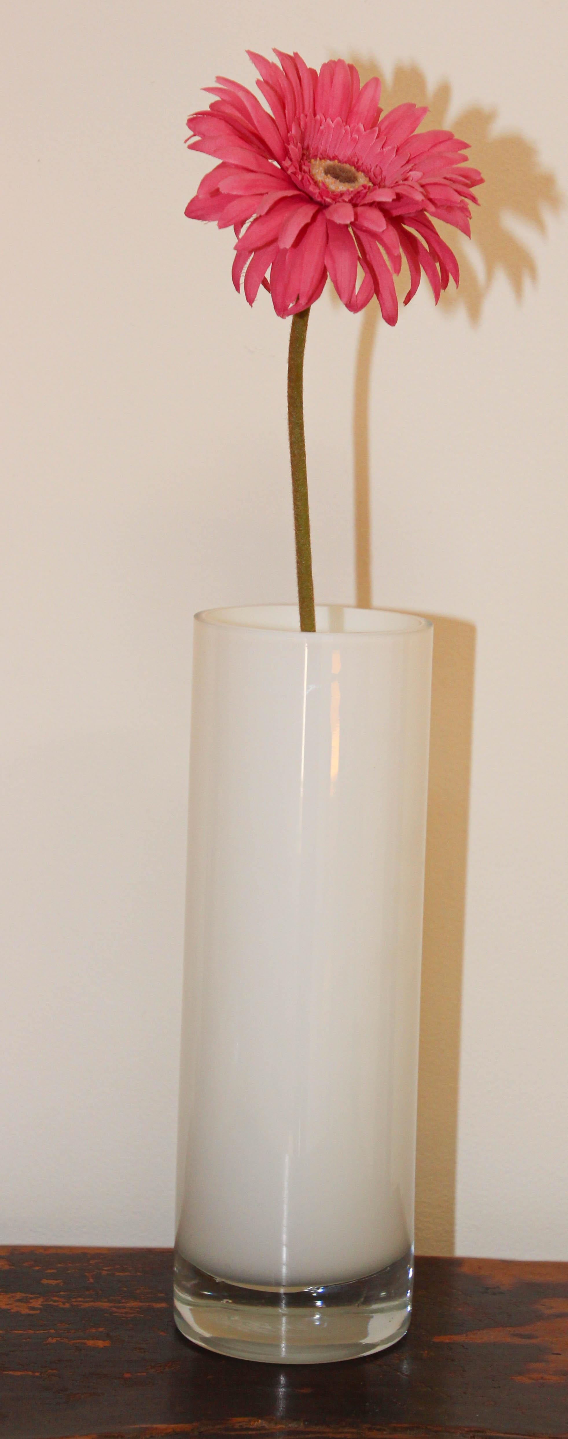 Modernist Minimalist white glass flower vase with clear glass base with some bubbles.
This Minimalist white vase very modern shape will fit any design.
With any flowers arrangement from colorful to just green leaves it will add the modern look to