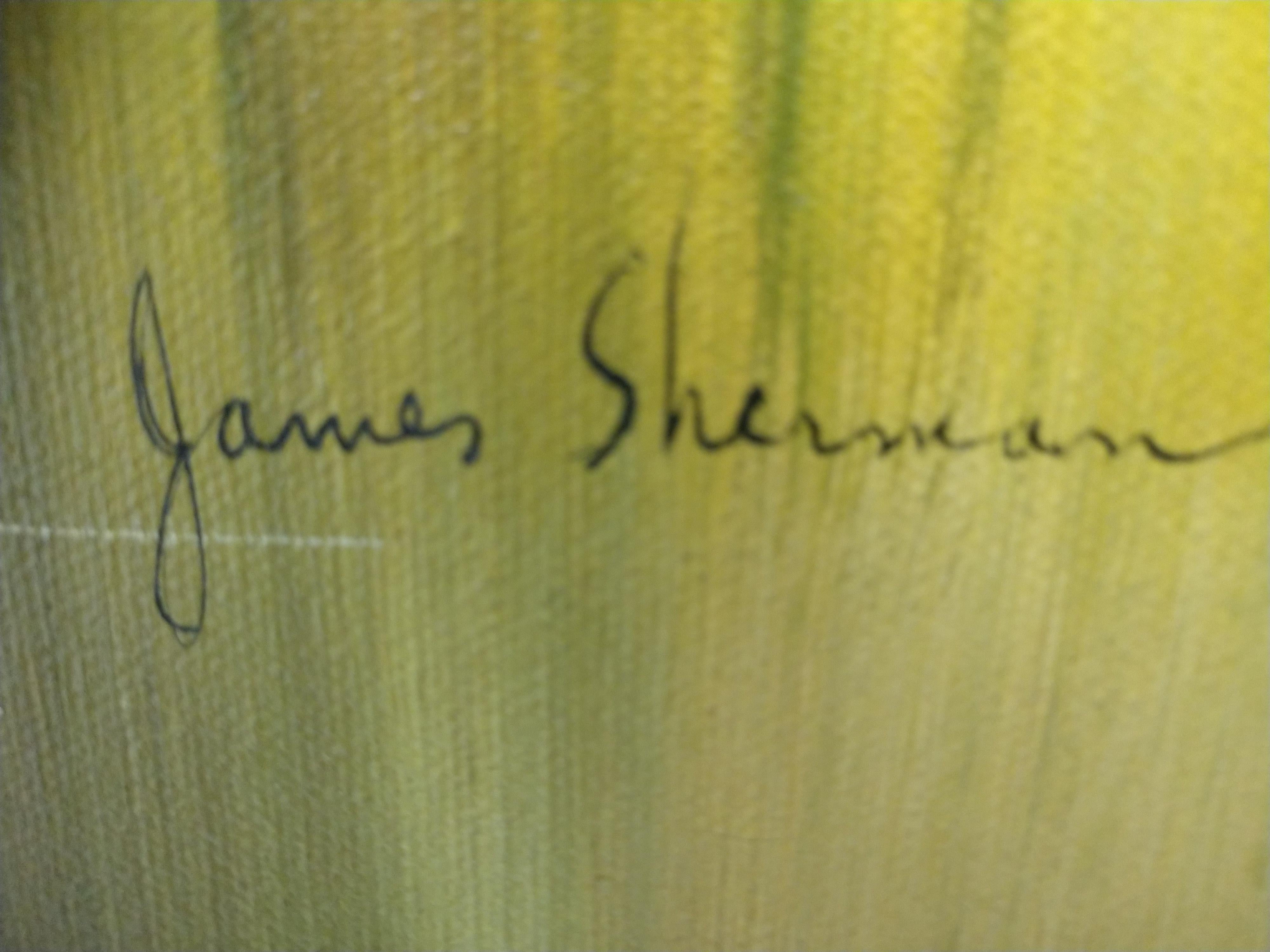 Abstrakte Ansicht von Chicago in Öl auf Leinwand der Moderne von James Sherman, um 1965 im Angebot 1