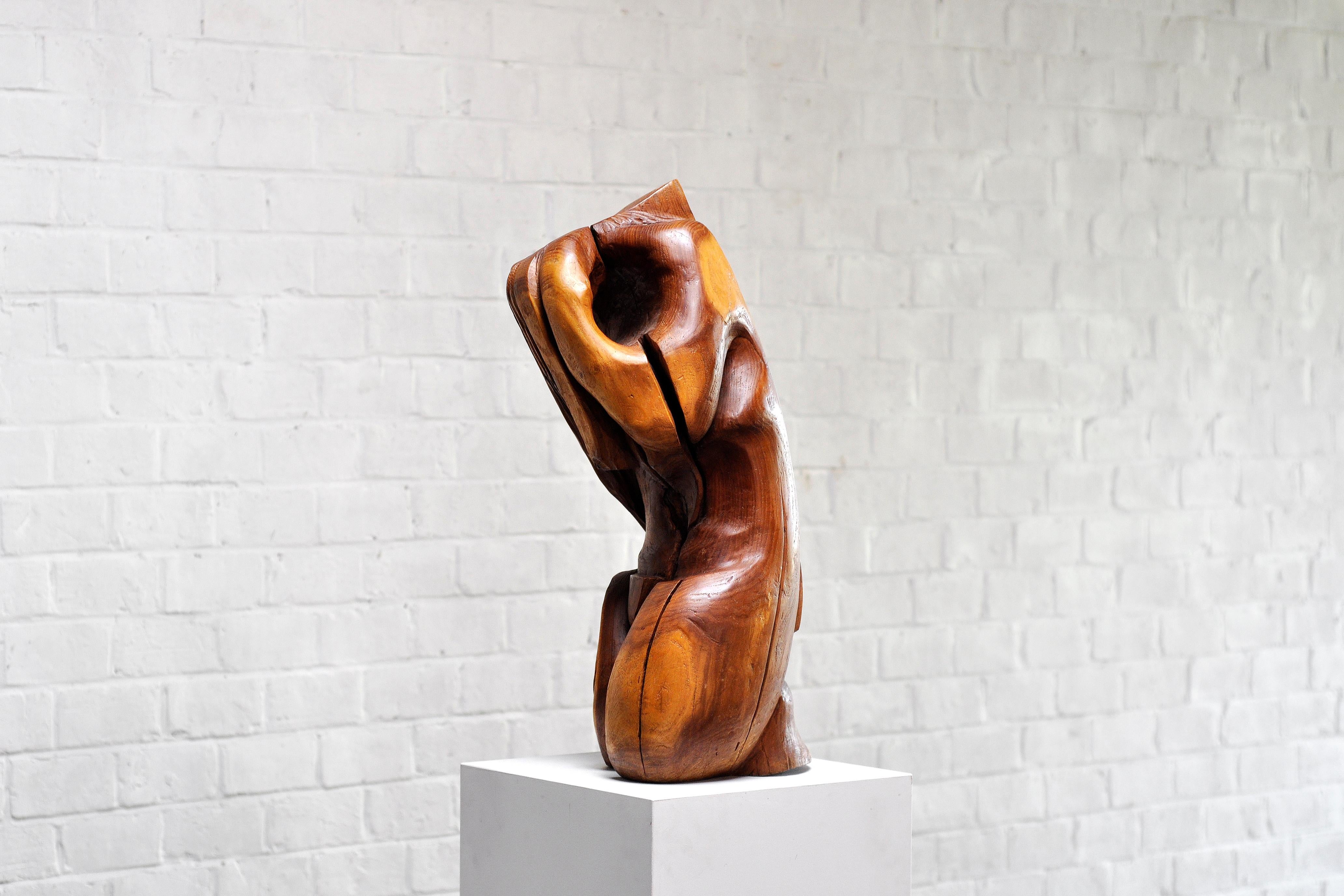 Mid-Century Modern Modernist Organic Abstract Wood Sculpture, 1960's