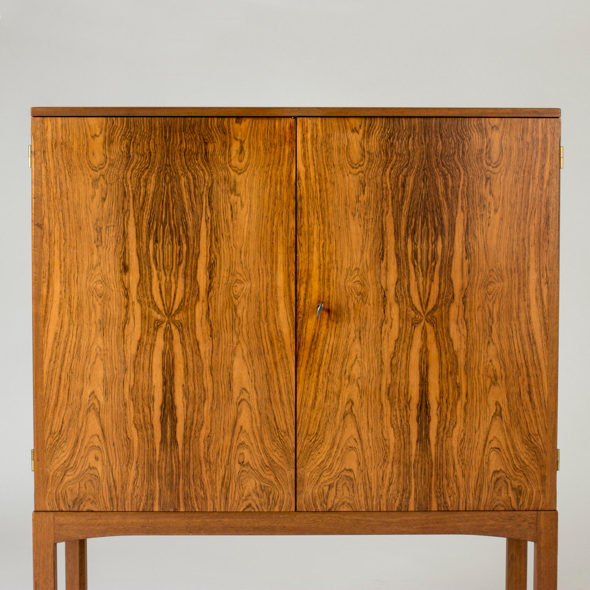 Elegant Swedish modernist cabinet, made from rosewood. Clean lines, neat size, with beautiful woodgrain.