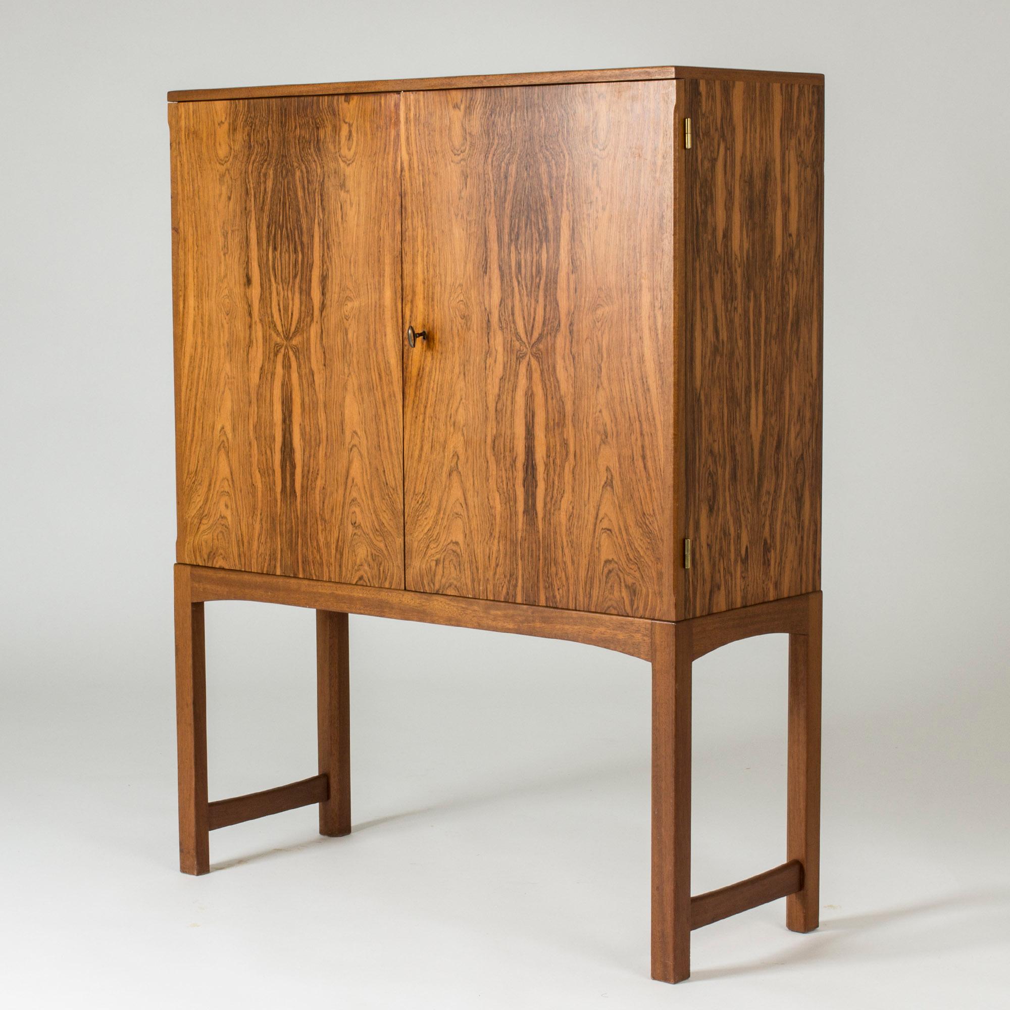 Scandinavian Modern Modernist Rosewood Cabinet, Sweden, 1950s