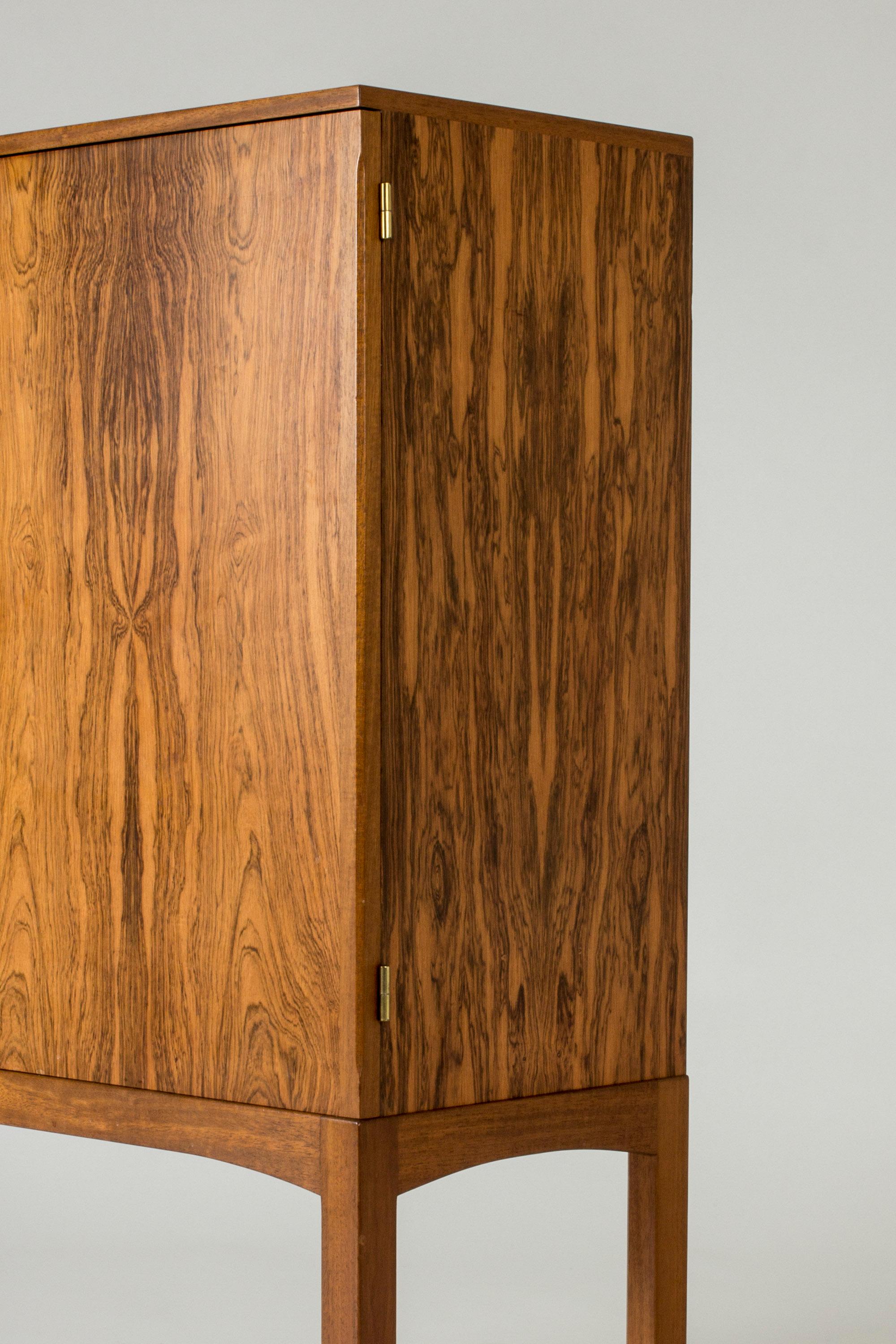 Mid-20th Century Modernist Rosewood Cabinet, Sweden, 1950s