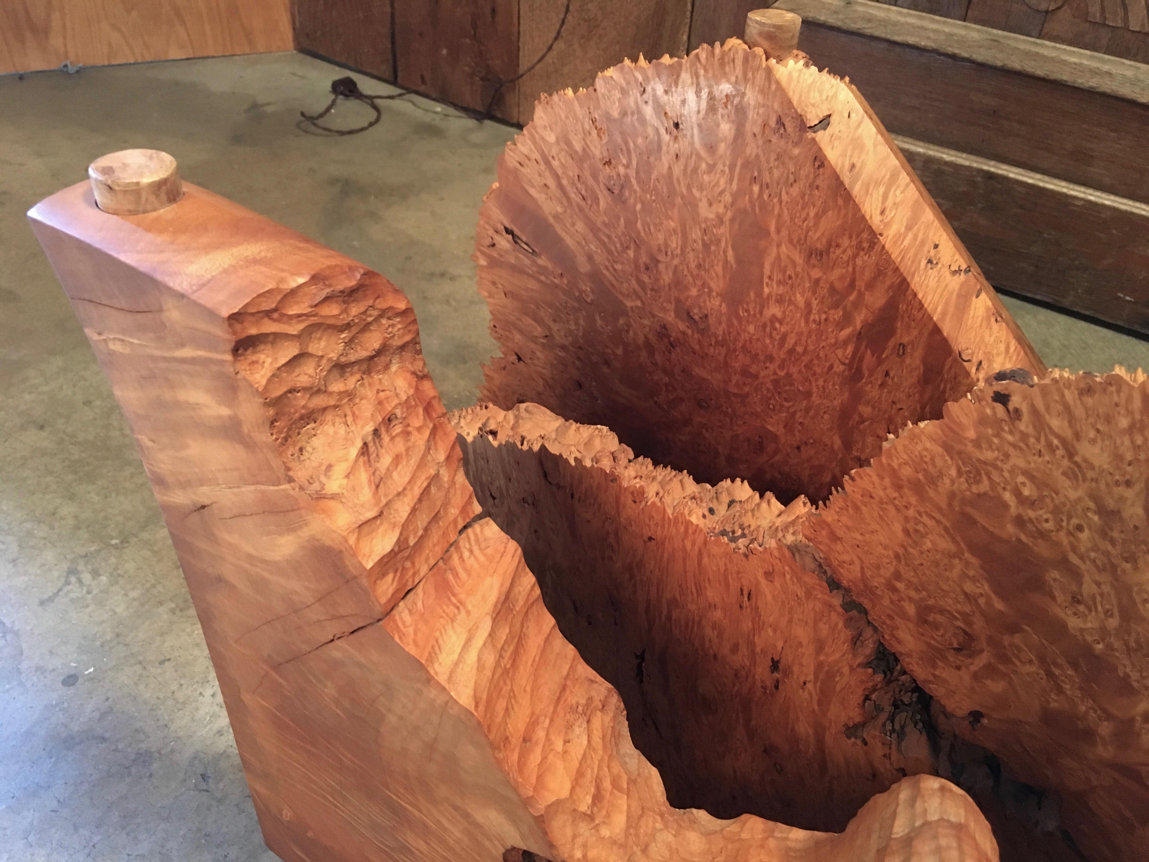 Modernist Sculpted Burl Wood Coffee Table  2