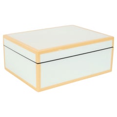 Modernist Square Lacquered Rectangular Box in Pale Celadon with Tan Accents