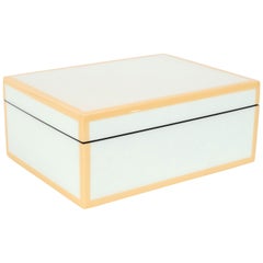 Modernist Square Lacquered Rectangular Box in Pale Celadon with Tan Accents