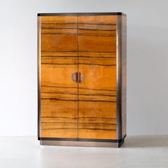 Modernist Two-Door Wardrobe, Dark Patinated Metal, Wood Veneer, Glossy Finish
