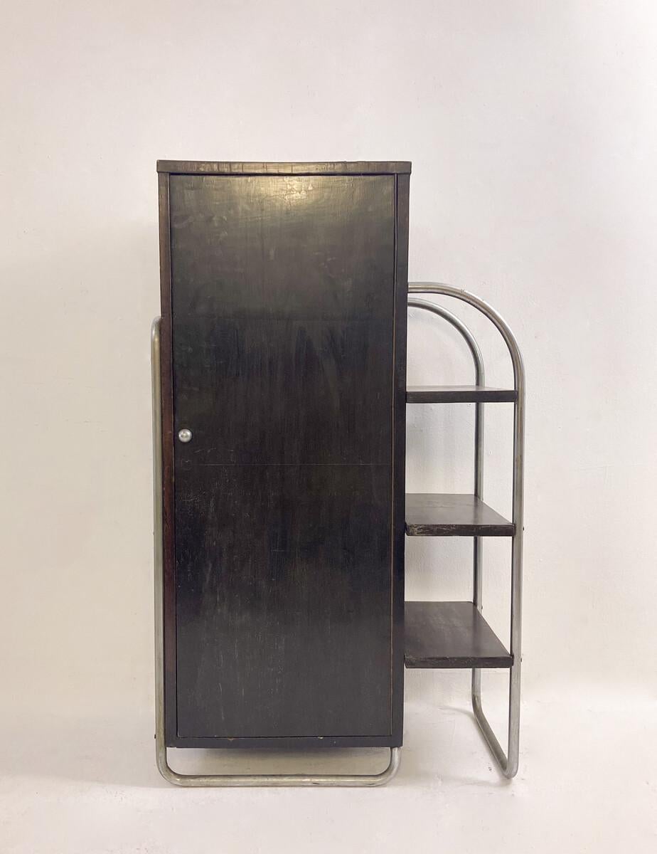 Modernist Wall Unit, Wood and Tubular Metal, 1920s For Sale 5