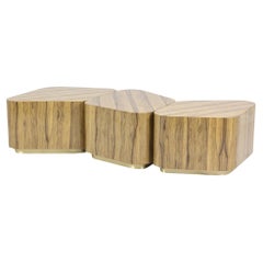 Modular Coffee Table Composed Of 3 Modules In Wood & Brass Plinth By José Castro