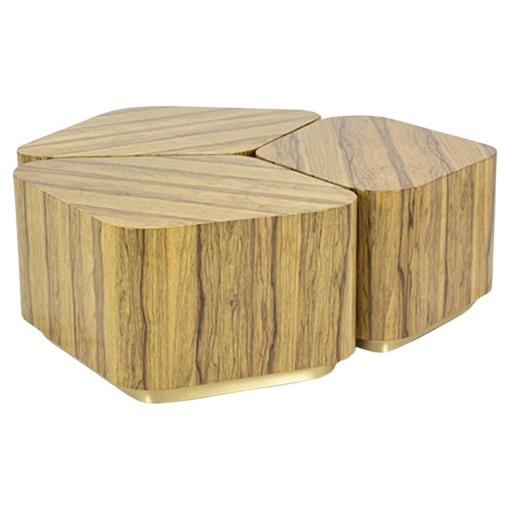 Modular Coffee Table Composed Of 3 Modules In Wood & Brass Plinth For Sale