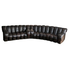 Modular De Sede Sofa Model 'Snake DS 600', dark brown leather, 1970s