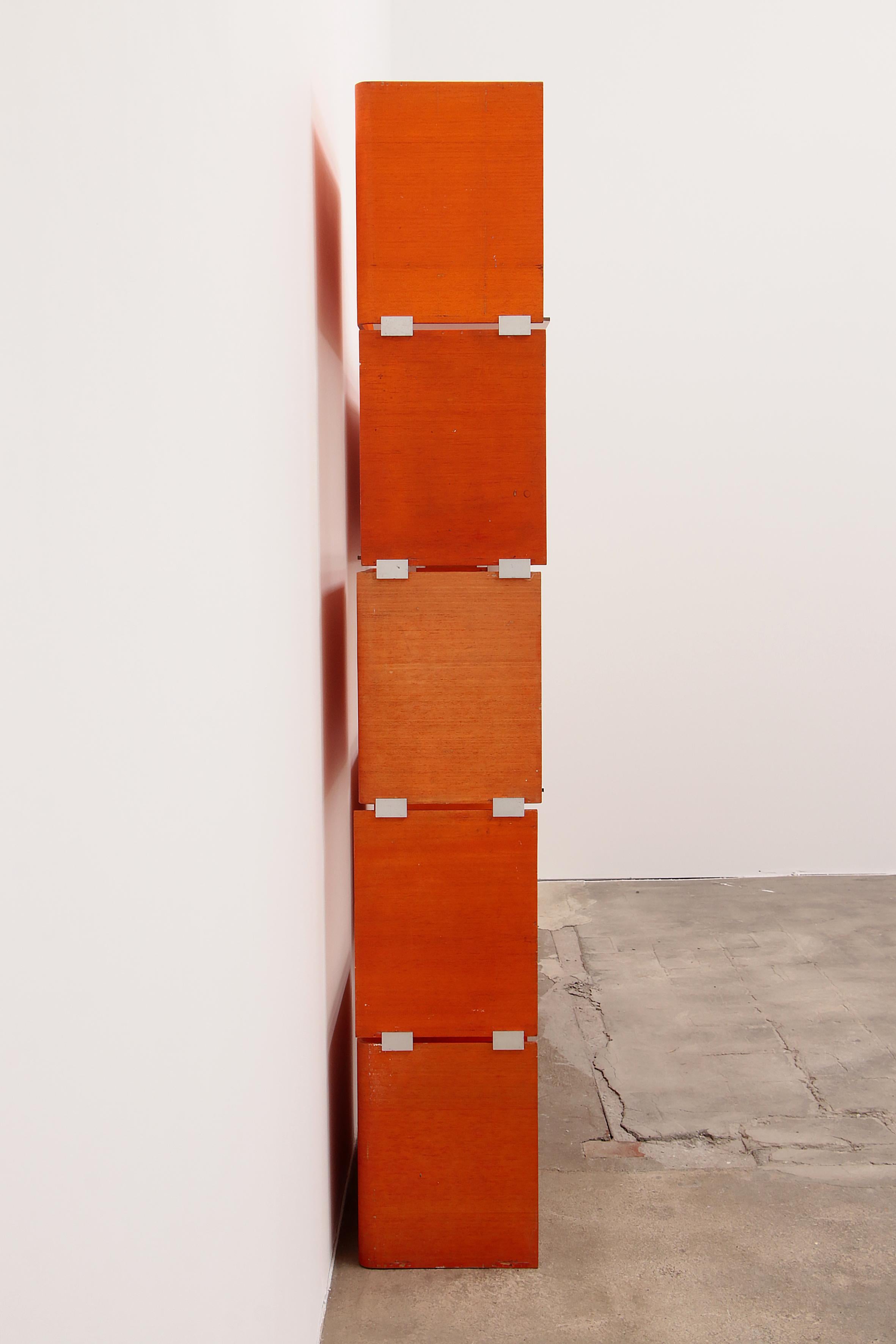 Mid-20th Century Modular French Wall Furniture Orange Made in the 60s For Sale