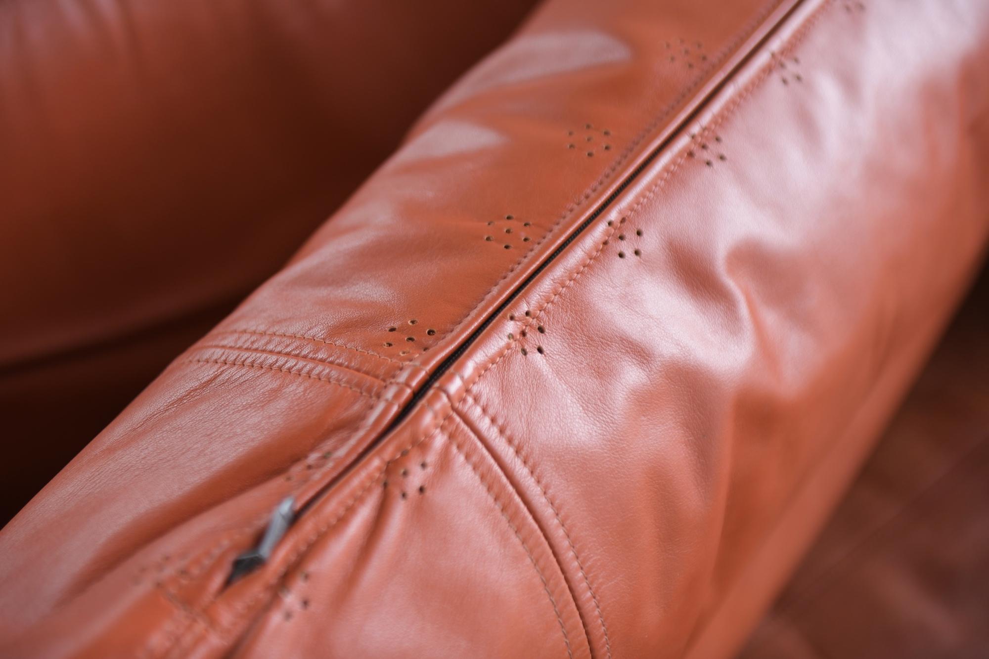 Mid-Century Modern Modular Leather Sofa COR Germany