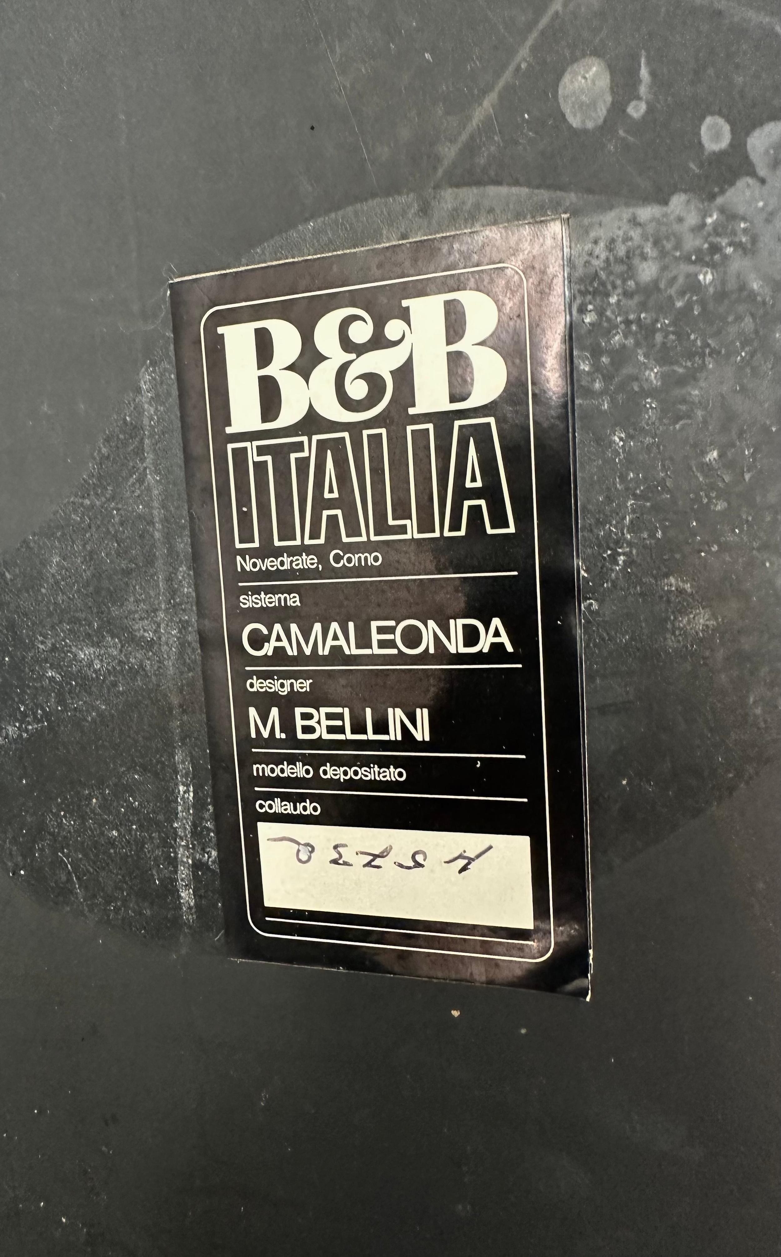 Divano componibile Camaleonda di Mario Bellini per B&B, Italia, anni '70 in vendita 2