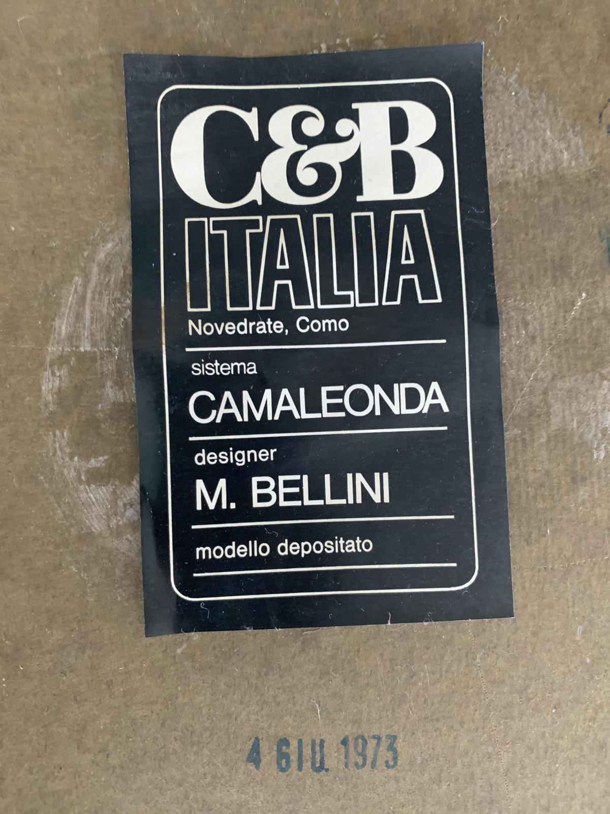 Italian Modular Sofa Camaleonda by Mario Bellini for C&B, Italy, 1970s
