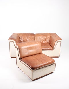 Modular Sofa in Patinated Leather
