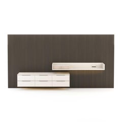 Modular Wall Unit Landform Night System 5 with Drawers and Desk Made with Oak