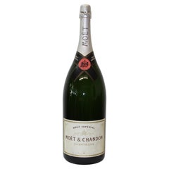 Used Moet & Chandon Display Champagne Bottle