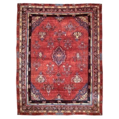 Mohajeran Sarouk Carpet