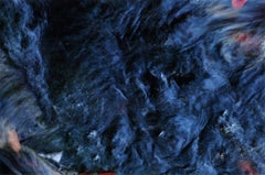 Cascadas, Fotografía Color, Azul, Rojo por Artista Indio "In Stock"