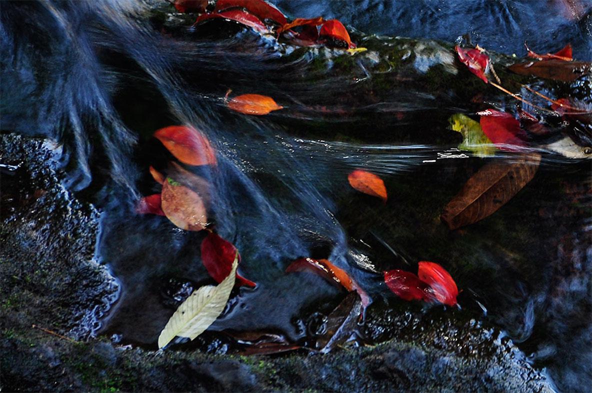 Wasserfälle, Farbfotografie, Blau, Rot von indischer Künstler, „Auf Lager“ (Violett), Landscape Photograph, von Mohan L. Mazumder