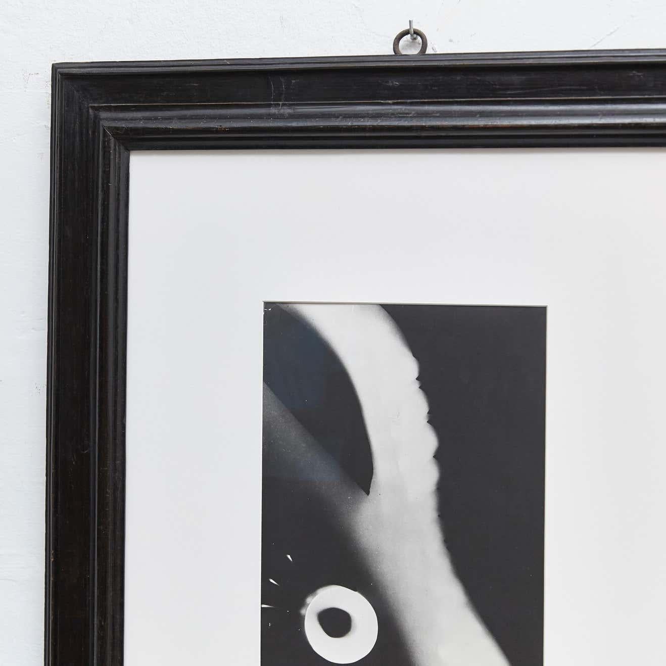 Late 20th Century Moholy-Nagy Black and White Photography For Sale