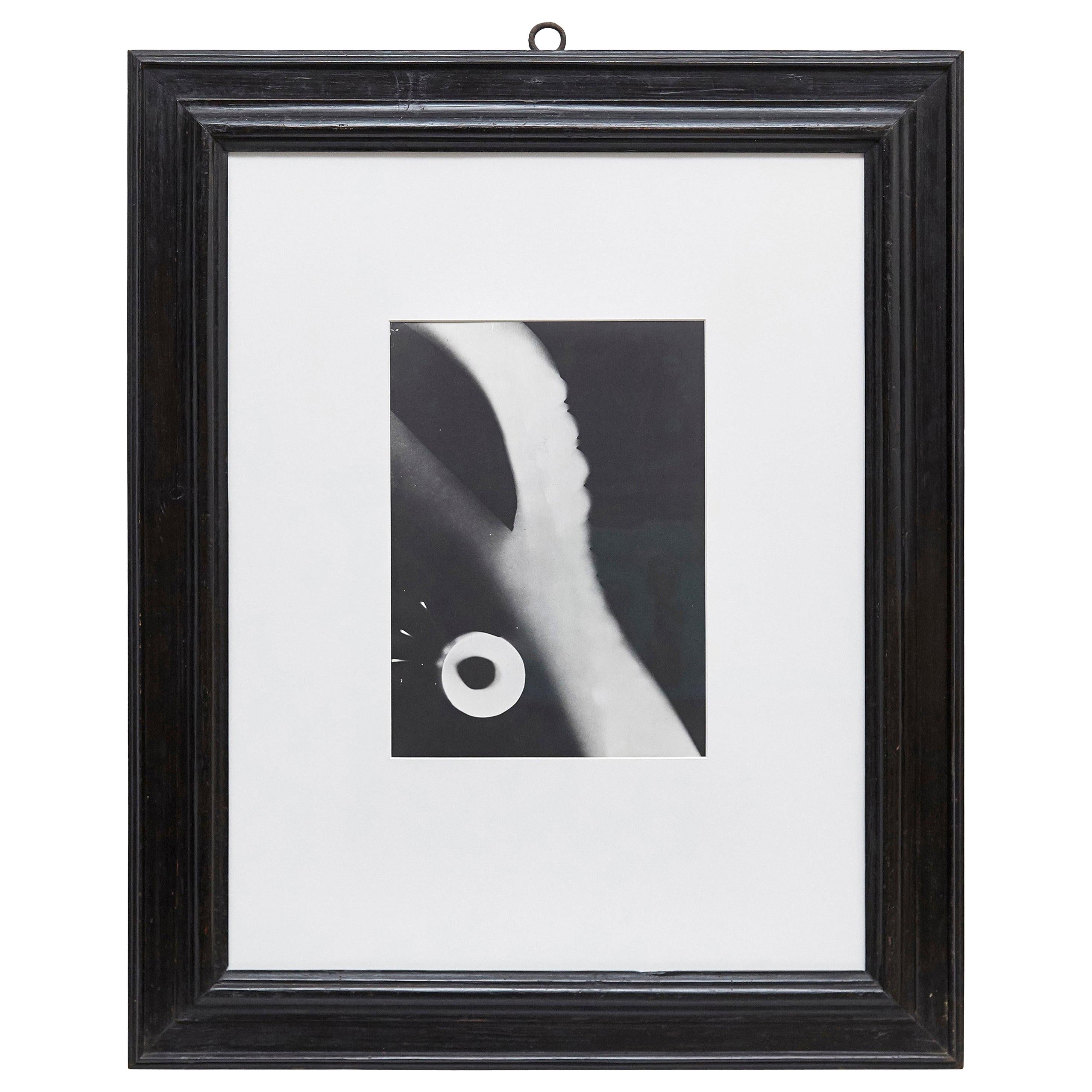 Moholy-Nagy Black and White Photography