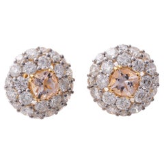 Moi Megan Gold Diamond and Morganite Ear Studs