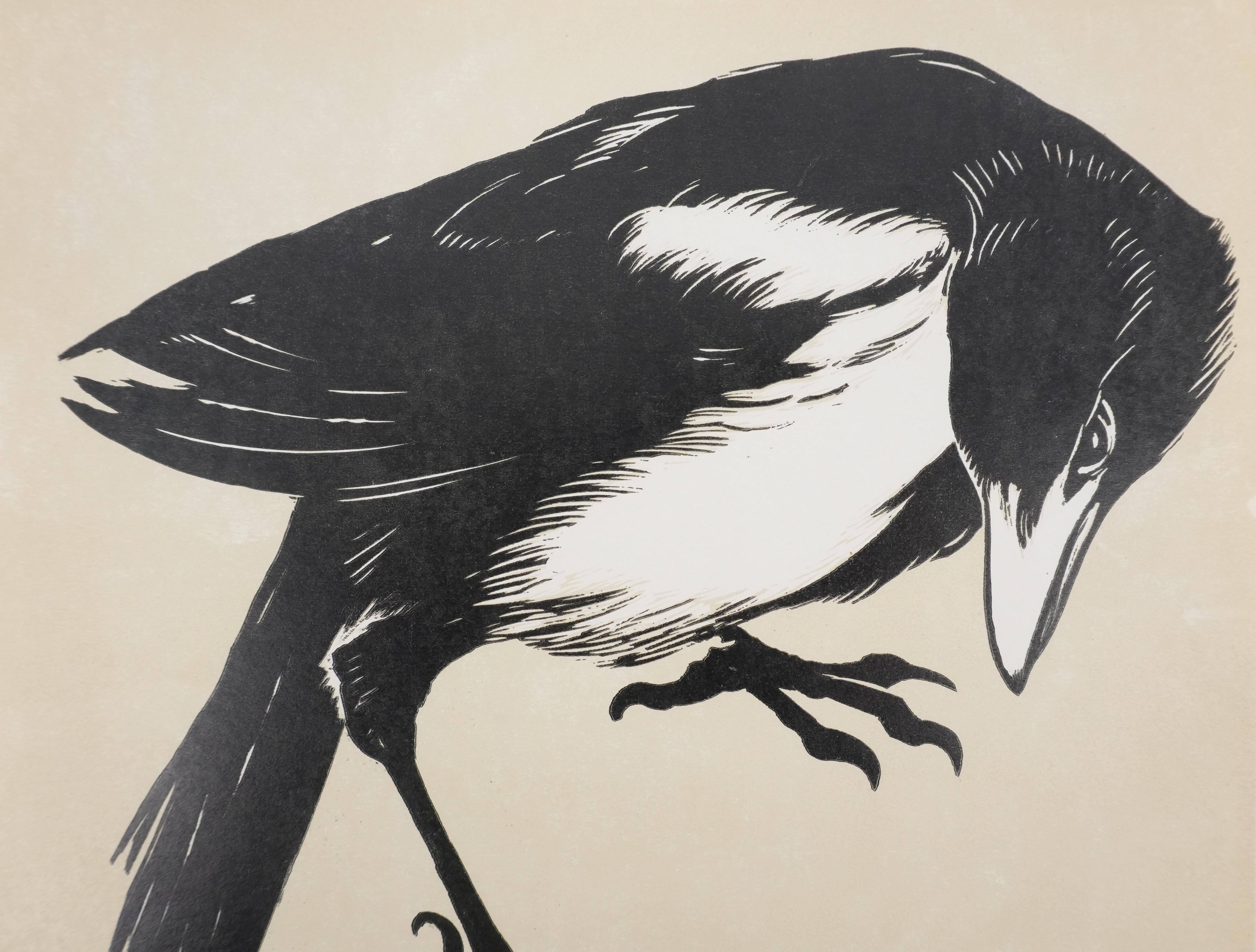 Japanese Print, White-billed Pie - Signed Woodcut - Beige Animal Print by Mokuchu URUSHIBARA