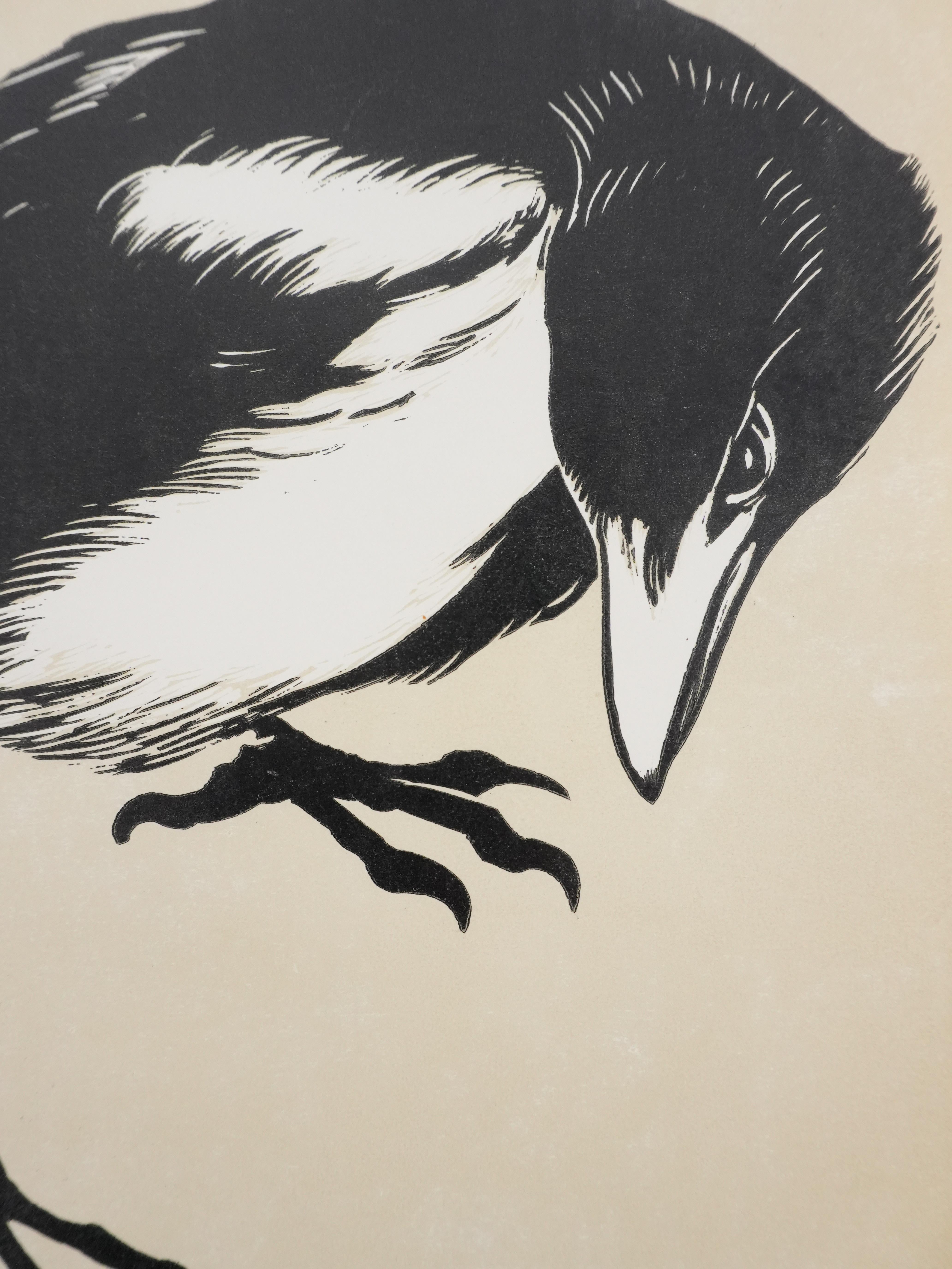 Japanese Print, White-billed Pie - Signed Woodcut For Sale 1