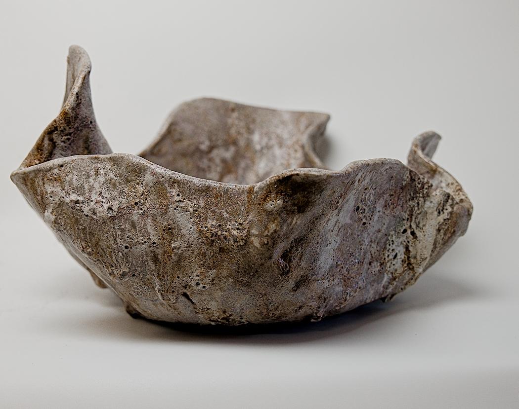 American Mokuza Organic  Low Wide Bowl II For Sale