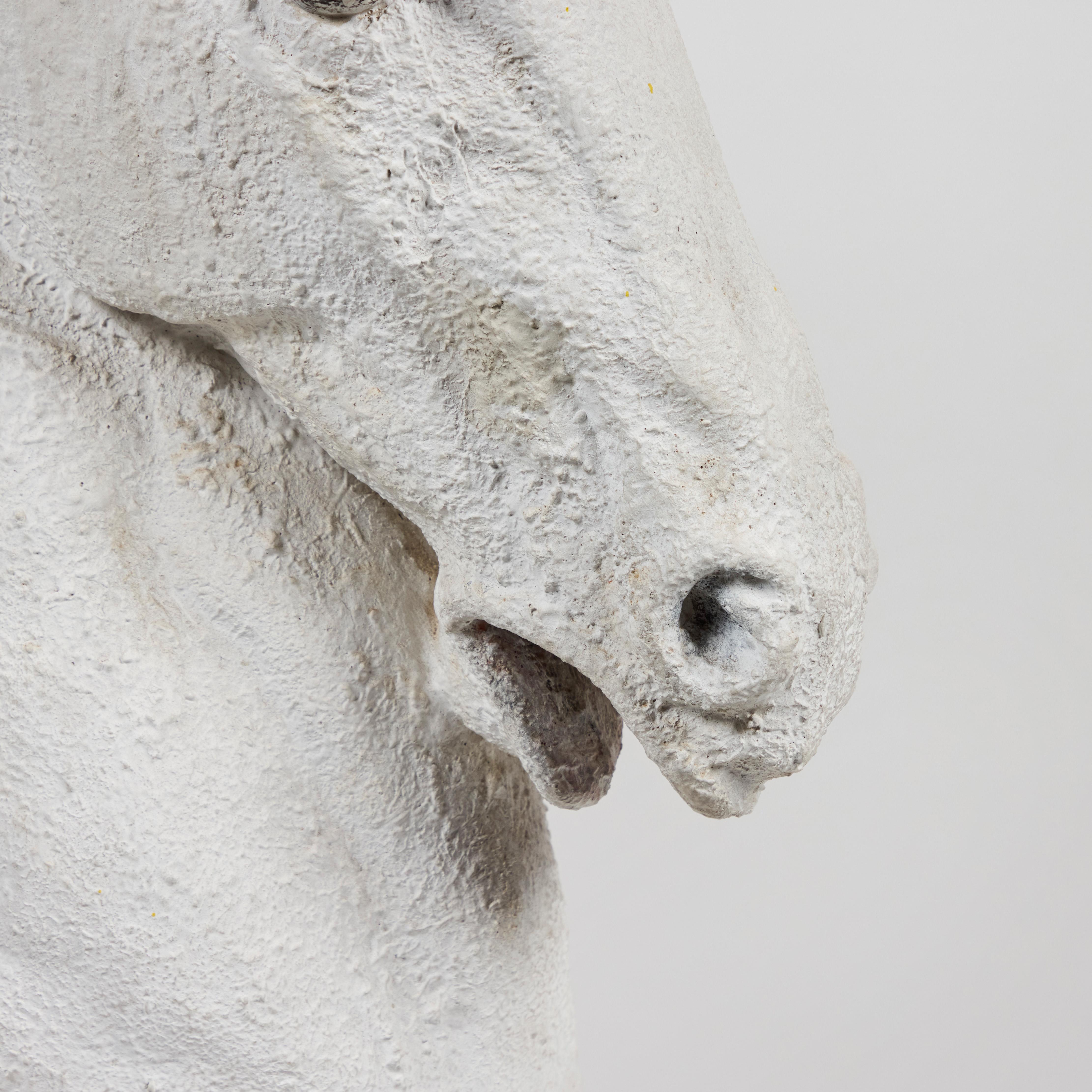 Escultura moldeada en gesso de una cabeza de caballo en venta 2