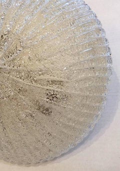 Molded Glass Light Fixture