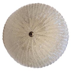 Molded Glass Light Fixture