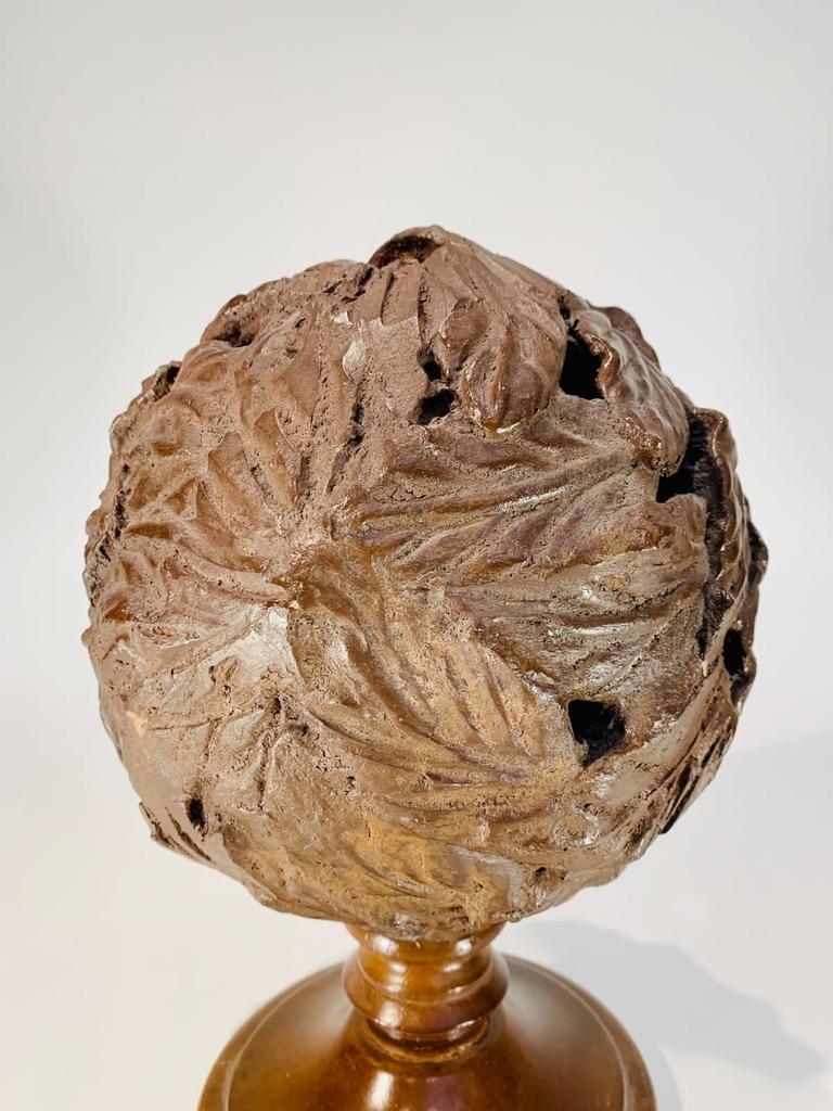Brazilian Molded terracota pine cone Art Deco on wooden base with leaf motif circa 1930 For Sale