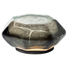 Mollusk Light