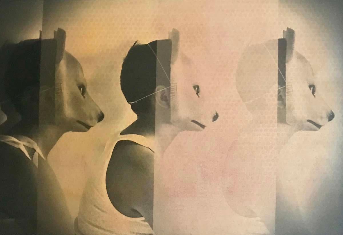 Figurative Photograph Molly McCall - renard de renard