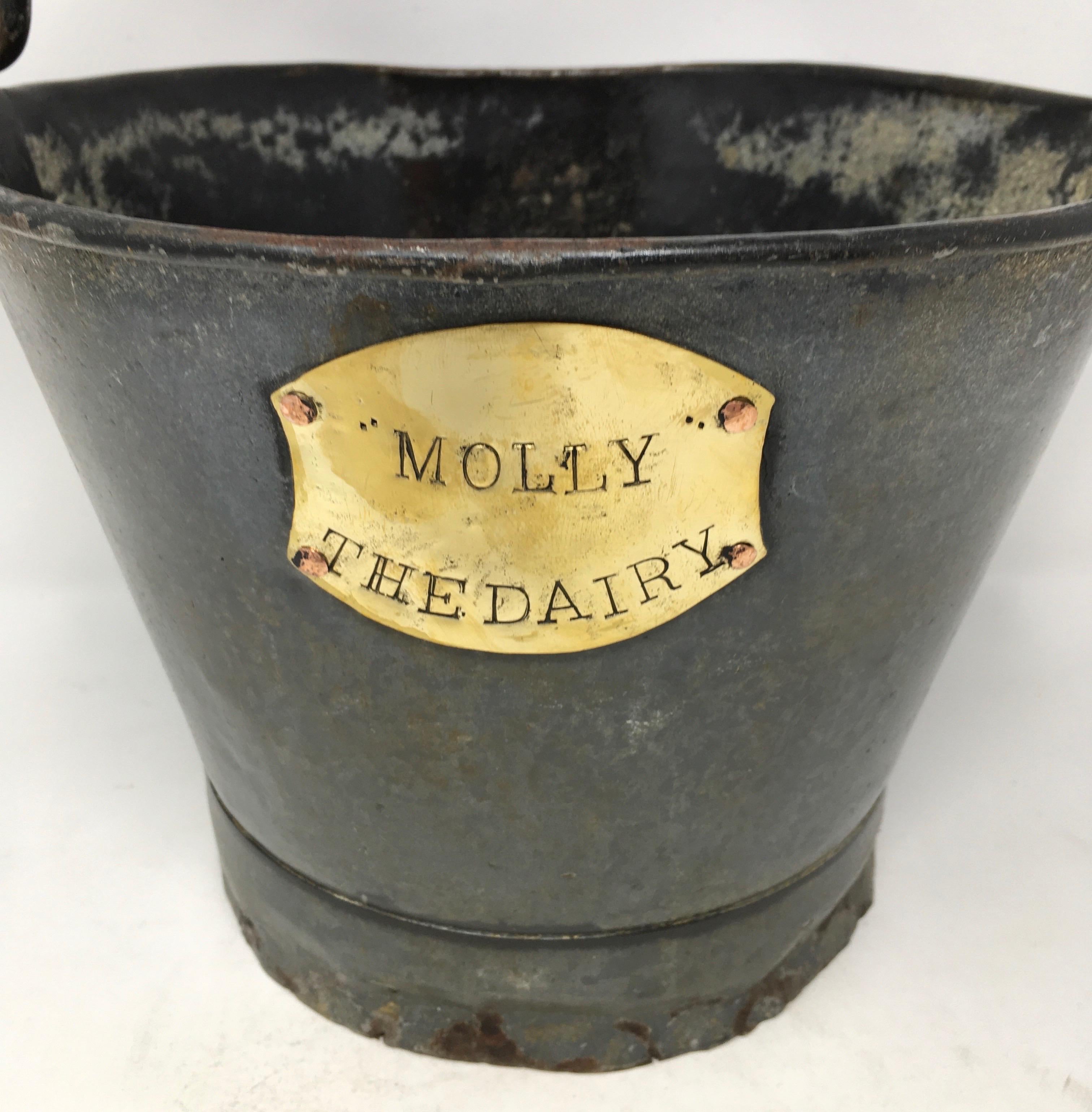 Found in England, this bucket was once used on a dairy farm for a cow named Molly. Today it could be used to add English charm to your home or outdoor setting.

This piece weighs 2 lb.