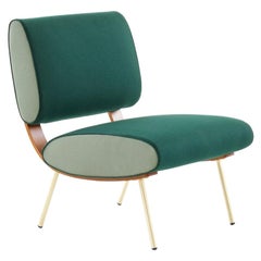 Fauteuil rond Molteni&amp;amp;C en toile bicolore D.154,5 de Gio Ponti, fabriqué en Italie