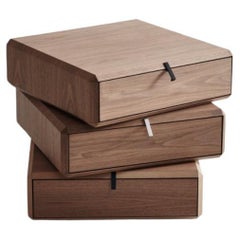 Molteni&C Theorama Wood Chests by Ron Gilad