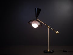 Molto Table Lamp or Reading Lamp in Brass and Enameled Mesh, Blueprint Lighting