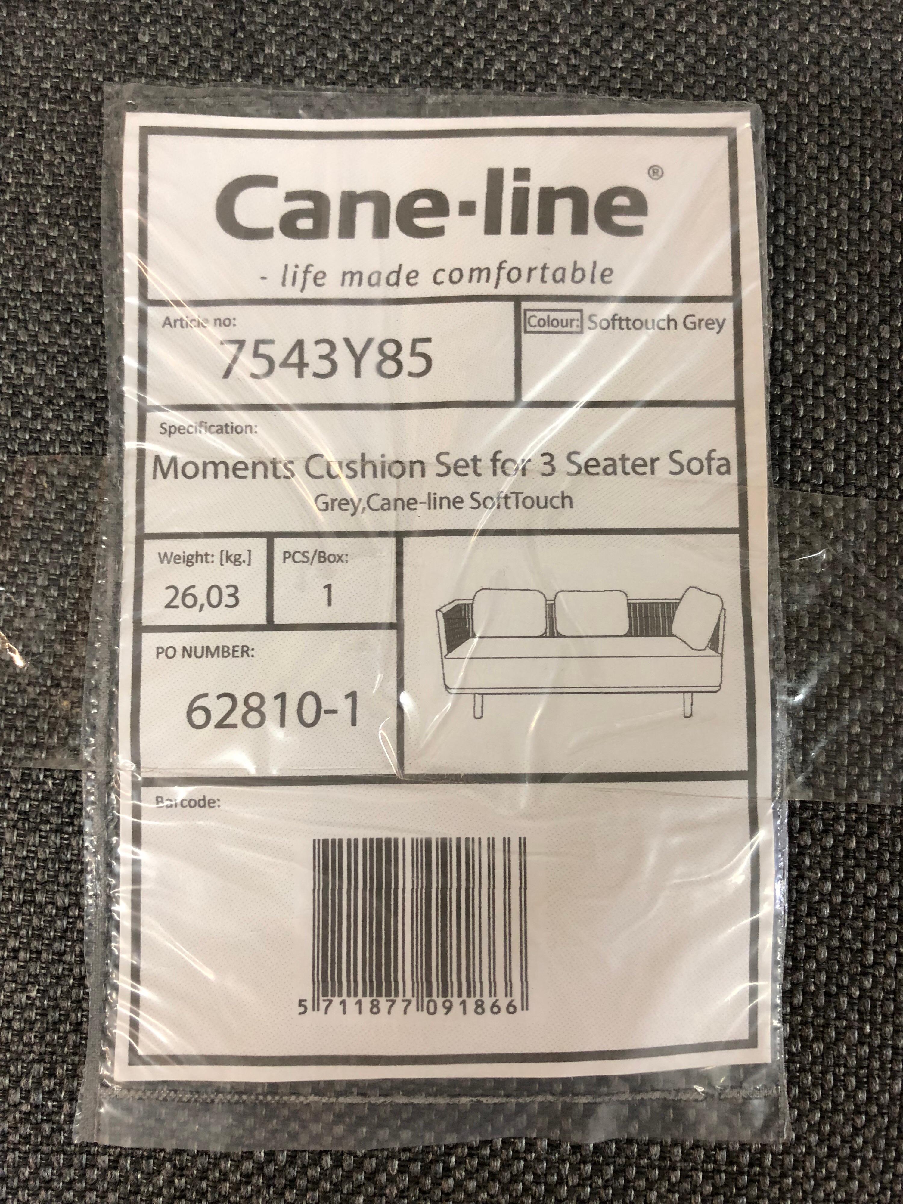 Moments Sofa by Cane-Tine In Good Condition For Sale In San Francisco, CA