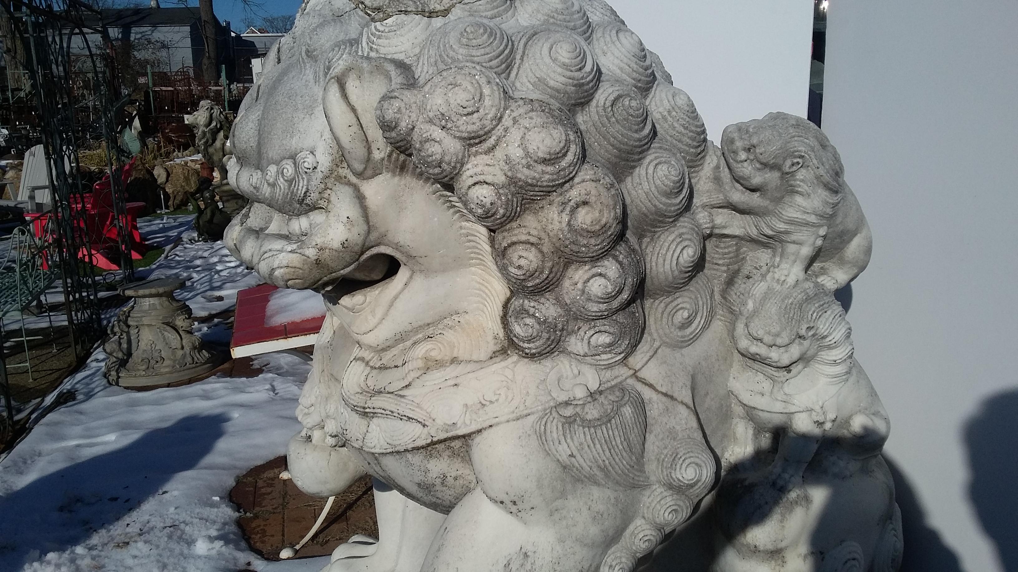 Monumental Carved Pair of Marble Foo Dogs from China For Sale 6