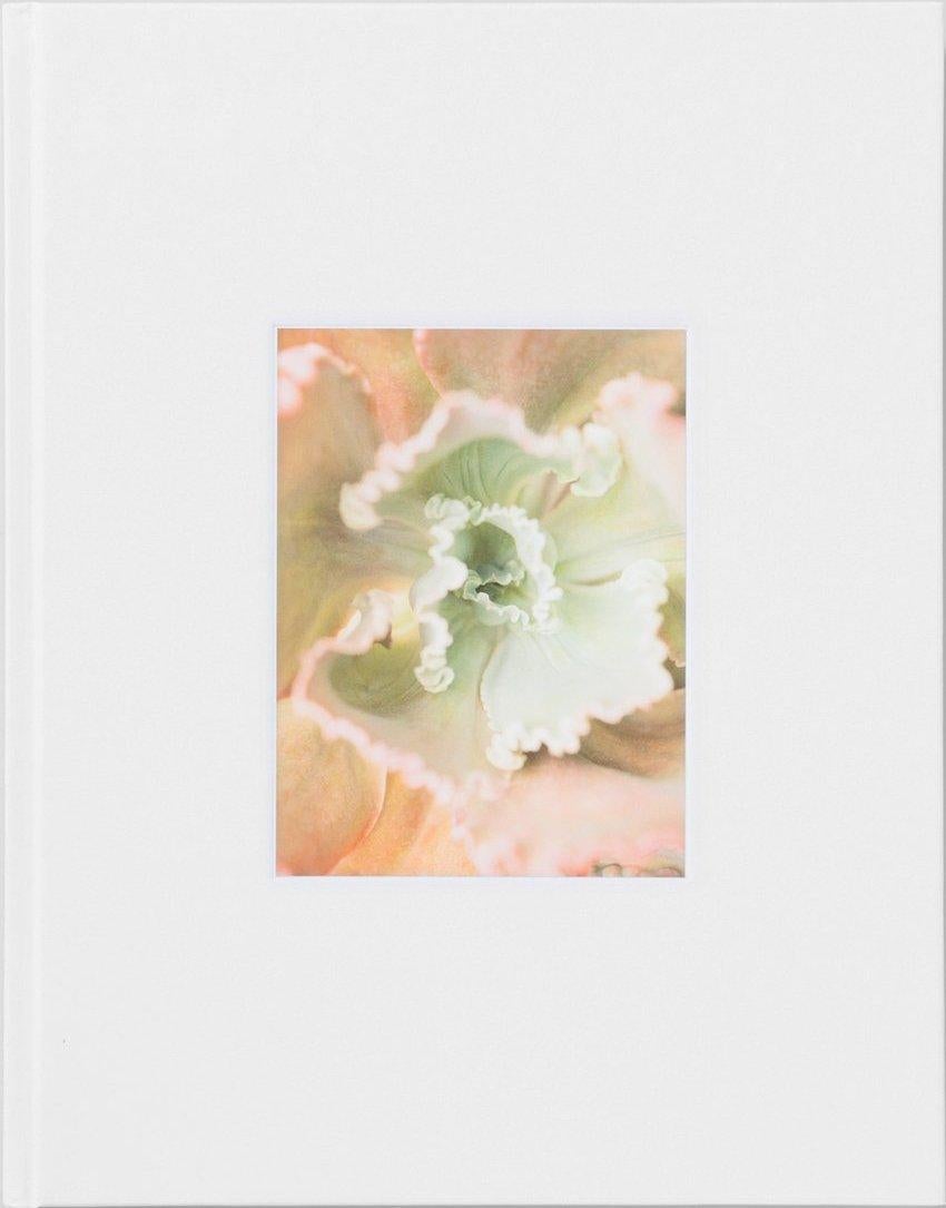 Succulents 05 – großformatige abstrakte Fotografie von Bushes and Succulents im Angebot 1