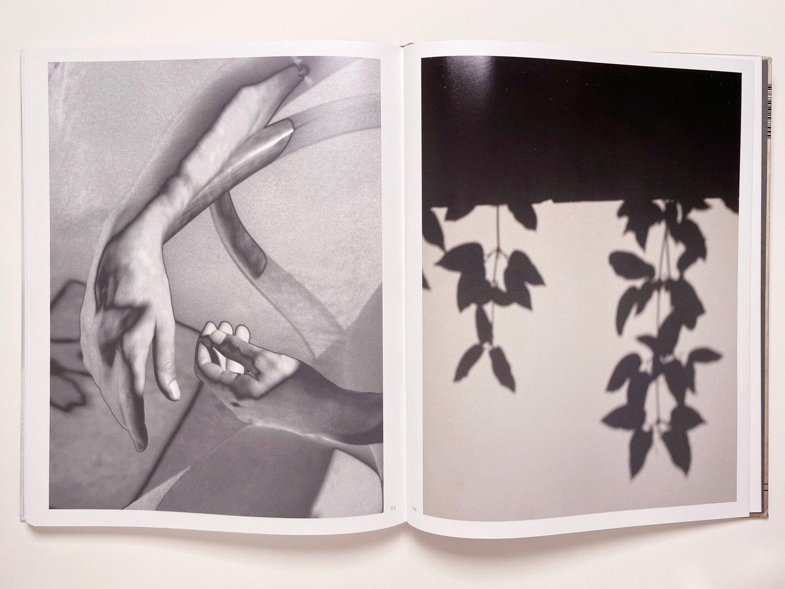 Pulse (Kings Road) - observations at the Schindler House in Los Angeles For Sale 6
