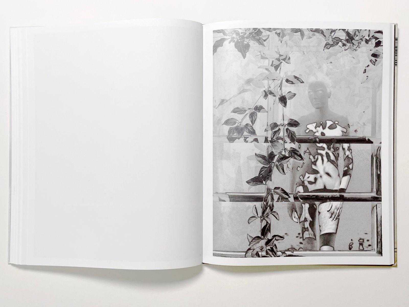 Pulse (Kings Road) - observations at the Schindler House in Los Angeles For Sale 7