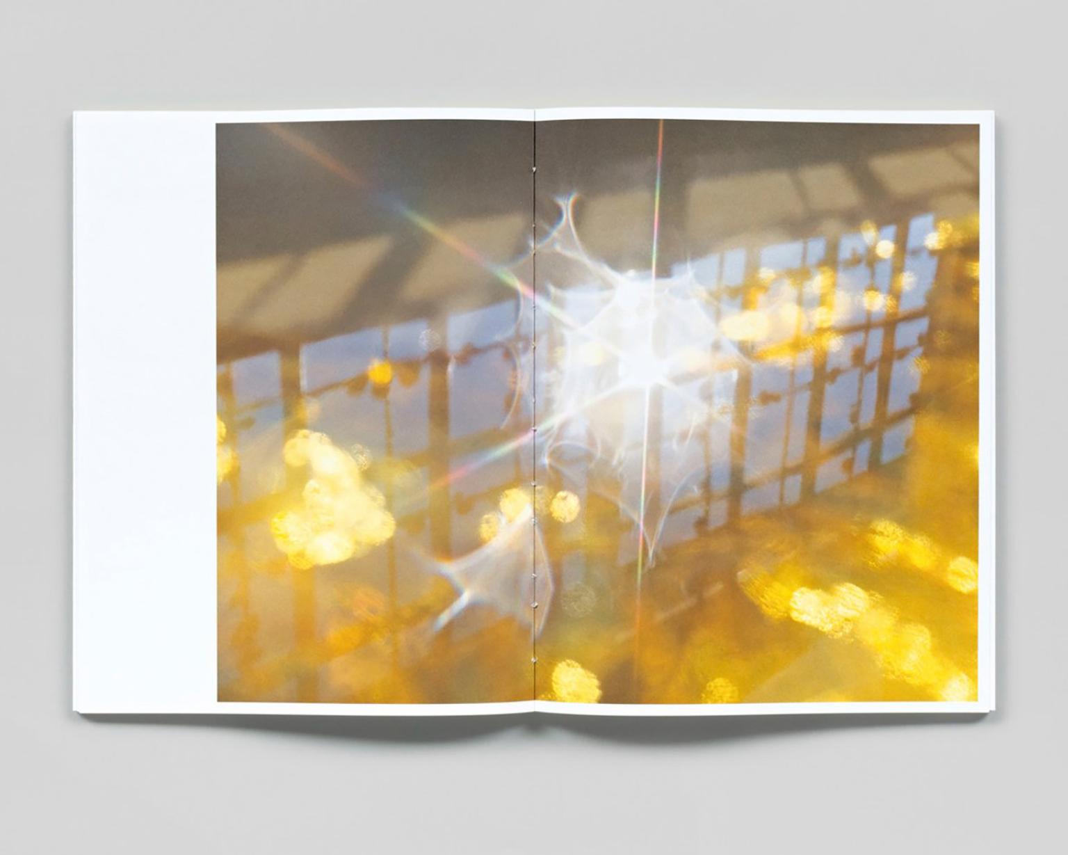 She Disappeared into Complete Silence (AD7517) – großformatige abstrakte Fotografie (Braun), Color Photograph, von Mona Kuhn