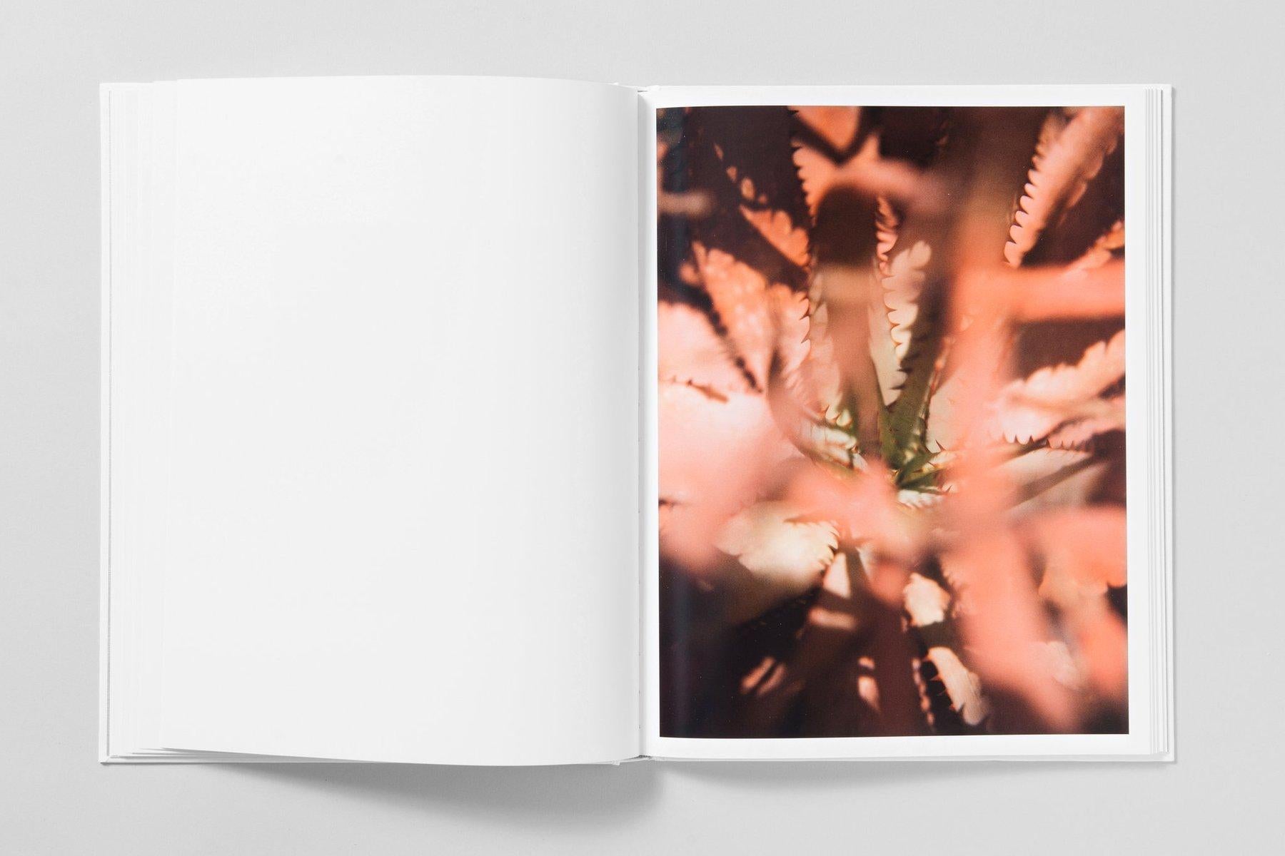 Succulents 01 – Großformatfotografie aus der Serie Bushes and Succulents im Angebot 4