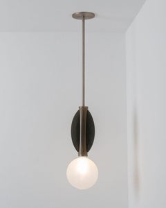 Luxury Brushed Stainless Steel Ceiling Mounted Lamp / Light Monarch, Carla Baz