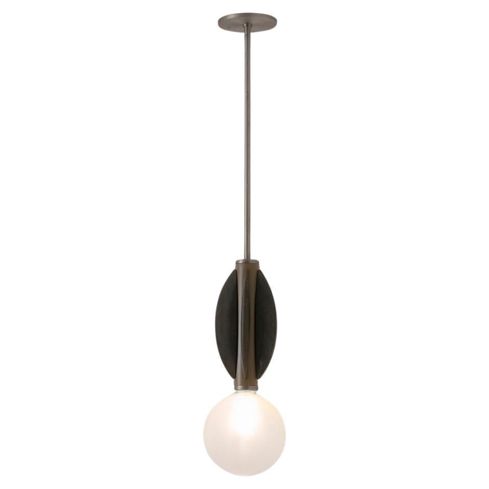 Monarch Brushed Stainless Steel Ceiling Mounted Lamp by Carla Baz For Sale