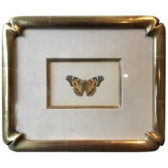 Antique Monarch Butterfly Print